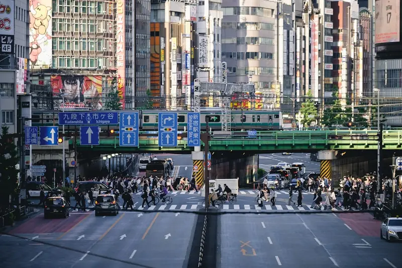 Stacy.Tokyo Premium Domain